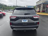 Used 2020 Ford Escape Titanium image 5