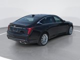 Certified 2023 Cadillac CT5 Luxury w/ Sun And Sound Package image 3