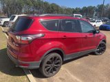 Used 2017 Ford Escape SE w/ Equipment Group 201A image 5