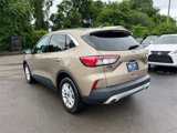 Used 2021 Ford Escape SE image 5