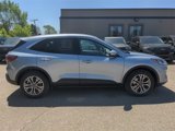 Certified 2022 Ford Escape SEL image 4