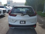 Used 2022 Honda CR-V Special Edition image 5