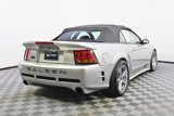 Used 2001 Ford Mustang Cobra image 6