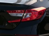 Used 2020 Honda Accord EX-L image 3