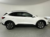 Used 2024 Ford Escape Platinum w/ Premium Technology Package image 5