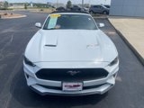 Used 2019 Ford Mustang Premium image 5
