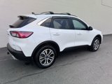 Used 2022 Ford Escape SEL image 6