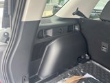 New 2024 Ford Bronco Sport Free Wheeling w/ Convenience Package image 5