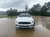 Used 2017 Ford Mustang Premium w/ Wheel & Stripe Package image 3