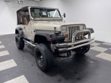 Used 1995 Jeep Wrangler S image 6