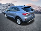 Certified 2022 Ford Escape SE w/ Cold Weather Package image 3