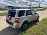 Used 2010 Ford Escape Limited image 5