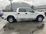 Used 2013 Ford F150 XLT image 5