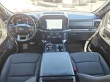 Certified 2021 Ford F150 XLT w/ Equipment Group 302A High image 2