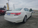 Used 2011 Honda Accord EX-L image 4