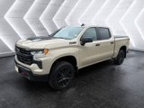 Used 2022 Chevrolet Silverado 1500 LT Trail Boss w/ Convenience Package II image 2