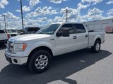 Used 2013 Ford F150 XLT w/ Luxury Equipment Group image 2
