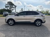 Used 2017 Ford Edge SE w/ Cargo Accessory Package image 5