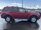 Used 2011 Ford Escape XLT w/ 201A Rapid Spec Order Code image 4