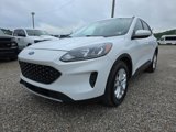 Used 2020 Ford Escape SE image 3
