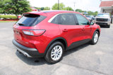 Used 2022 Ford Escape SE w/ Convenience Package image 5