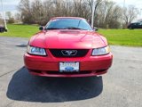 Used 1999 Ford Mustang Convertible image 3