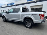 Used 2016 Ford F150 XLT w/ Equipment Group 302A Luxury image 2