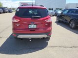 Used 2016 Ford Escape SE w/ Equipment Group 201A image 3
