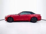 Used 2019 Ford Mustang Premium image 4