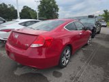 Used 2011 Honda Accord EX-L image 5