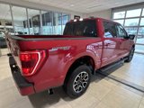 Certified 2022 Ford F150 XLT w/ Equipment Group 302A High image 3