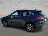 Used 2022 Ford Escape Titanium image 3
