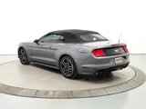 Used 2023 Ford Mustang Convertible w/ Equipment Group 101A image 6