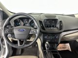 Used 2019 Ford Escape SEL image 3