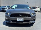 Used 2017 Ford Mustang Coupe image 5