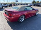 Used 2004 Ford Mustang GT image 5