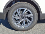New 2025 Lincoln Corsair AWD w/ Equipment Group 101A image 5