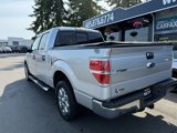 Used 2013 Ford F150 XLT w/ Luxury Equipment Group image 6