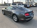 Used 2020 Ford Mustang Coupe image 4