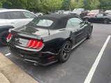 Used 2023 Ford Mustang Premium image 4