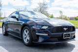 Used 2022 Ford Mustang Coupe image 4