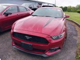 Used 2015 Ford Mustang Coupe w/ Wheel & Stripe Package image 2