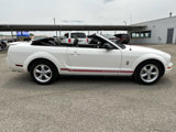 Used 2009 Ford Mustang Premium image 5