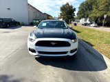 Used 2016 Ford Mustang Coupe image 5