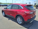 Used 2020 Ford Escape SE image 3