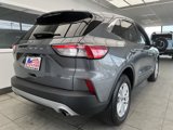 Used 2022 Ford Escape SE w/ Cold Weather Package image 5