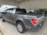Used 2010 Ford F150 Platinum image 4