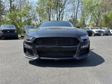 Certified 2019 Ford Mustang Premium w/ Enhanced Security Package image 3