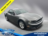 Used 2014 Ford Mustang Coupe w/ Equipment Group 102A image 1