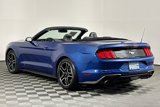 Used 2022 Ford Mustang Premium image 6
